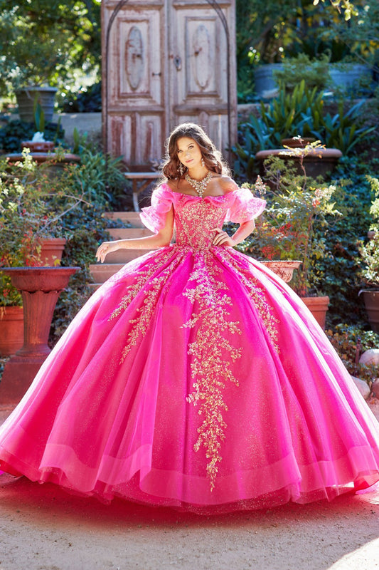 Hot Pink Iridescent Sequin Embroidery Dress. PQ1042 by Bella Couture