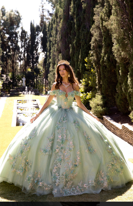 Sage Green Long Train Quince Dress. PQ1081 BY Bella Couture