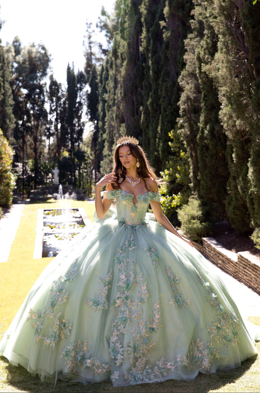 Sage Green Long Train Quince Dress. PQ1081 BY Bella Couture