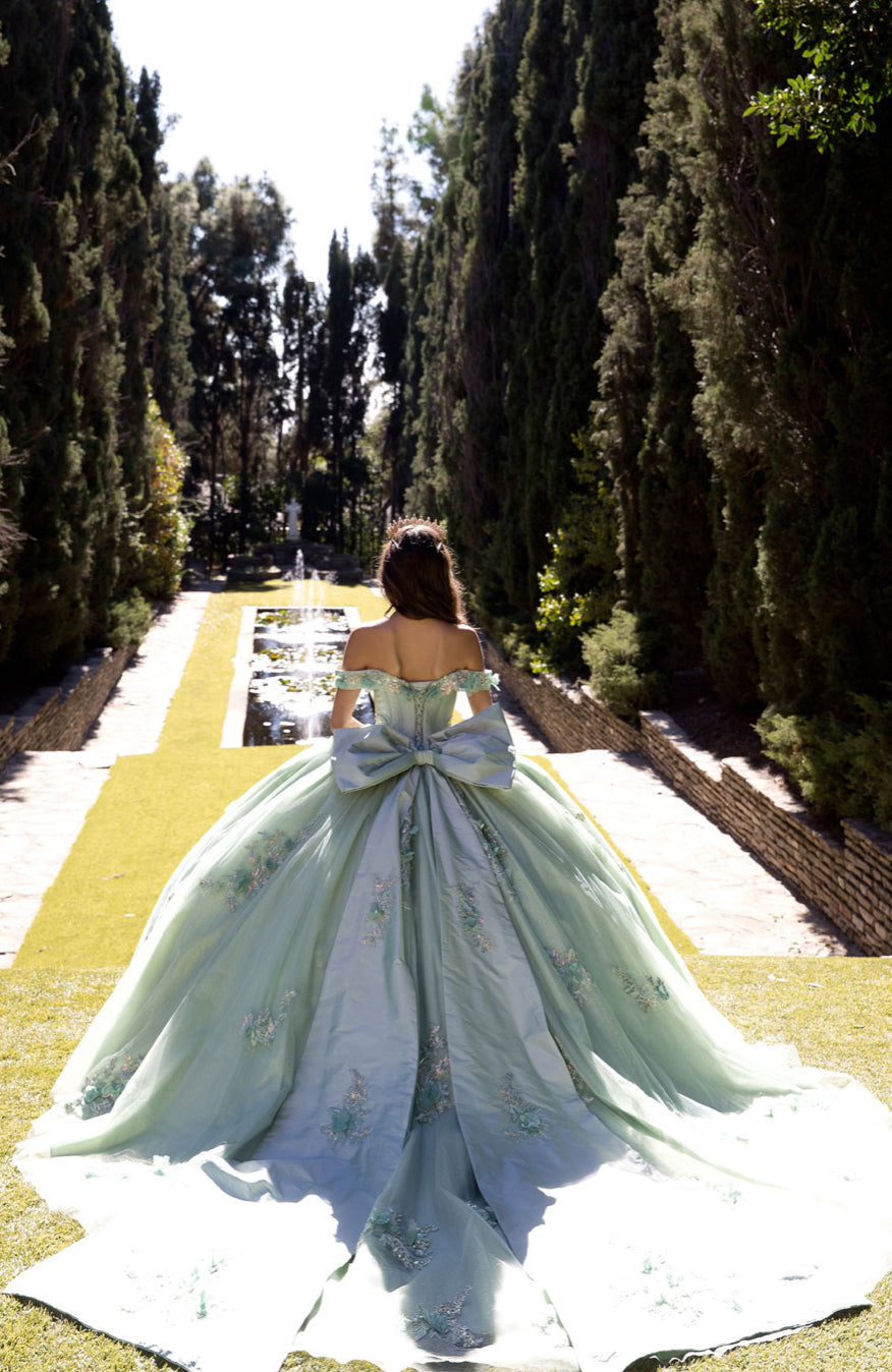 Sage Green Long Train Quince Dress. PQ1081 BY Bella Couture