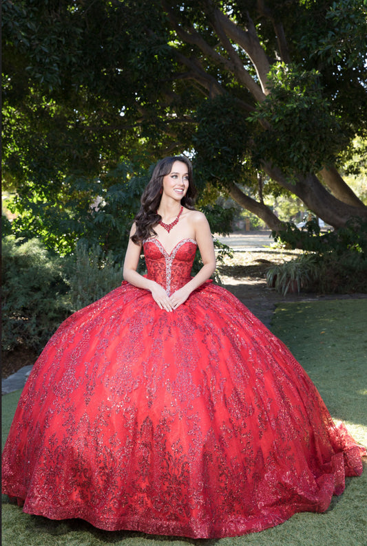 Sparkly Quince Dress. PQ1058 BY Bella Couture