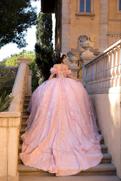 Exquisite Off Shoulder & 3D Flower Quince Dress. PQ1064 by Bella Couture