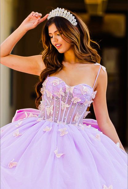 Corset Bodice Two tone Butterfly Quince Dress. PQ1032 by Bella Couture