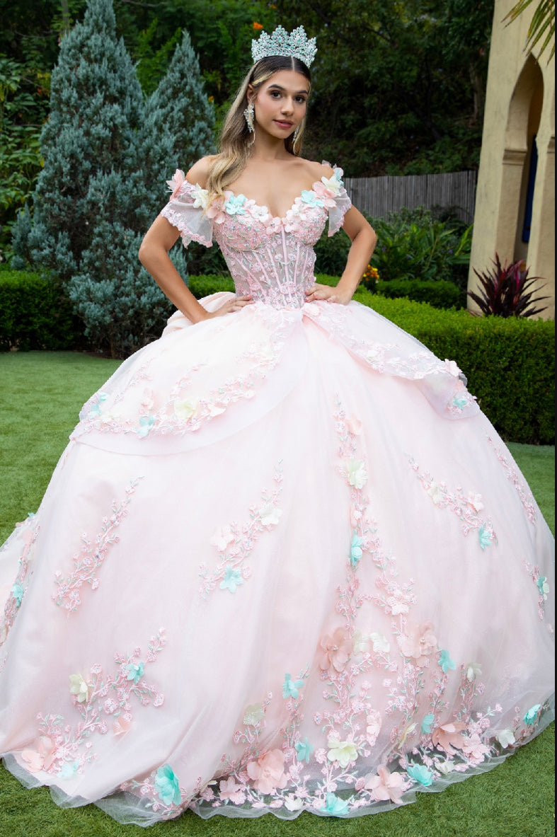 With 3D flower appliques, beads, embroidery, jewels and glitter, this ball gown presents an image of loveliness. GL3554 GLS by Gloria