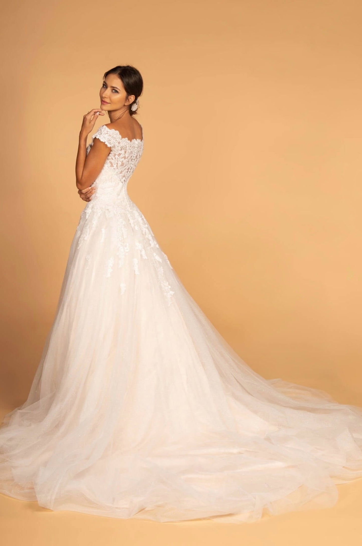 Boat-Neck Embroidered Mesh A-Line Wedding Gown. GL2596(GLS) by Gloria.