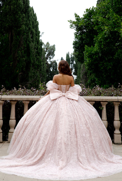 High Quality Glass beaded Quince Dress. PQ1080 by Bella Couture