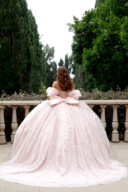 High Quality Glass beaded Quince Dress. PQ1080 by Bella Couture