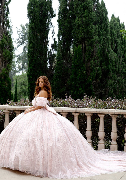 High Quality Glass beaded Quince Dress. PQ1080 by Bella Couture