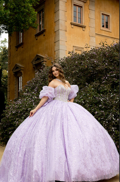 High Quality Glass beaded Quince Dress. PQ1080 by Bella Couture