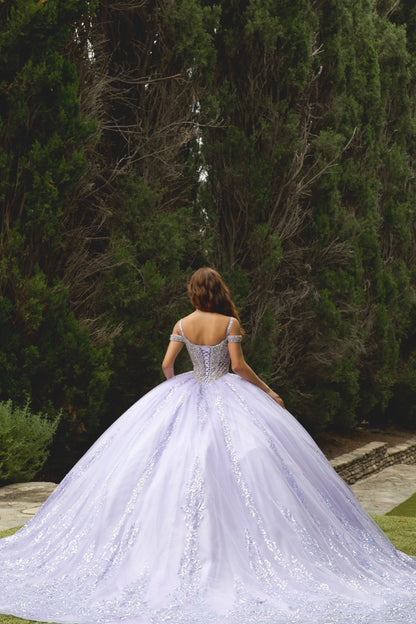 Platinum Quinceanera Dress. PQ1077 by Bella Couture