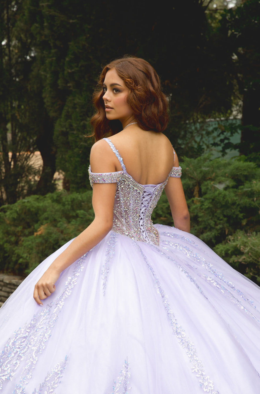 Platinum Quinceanera Dress. PQ1077 by Bella Couture