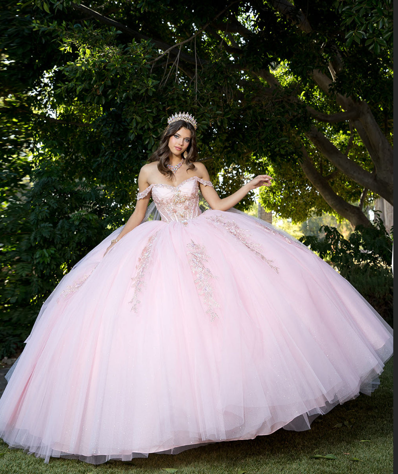 Acrylic 3D Flowers with Wing Cape. PQ1061 by Bella Couture