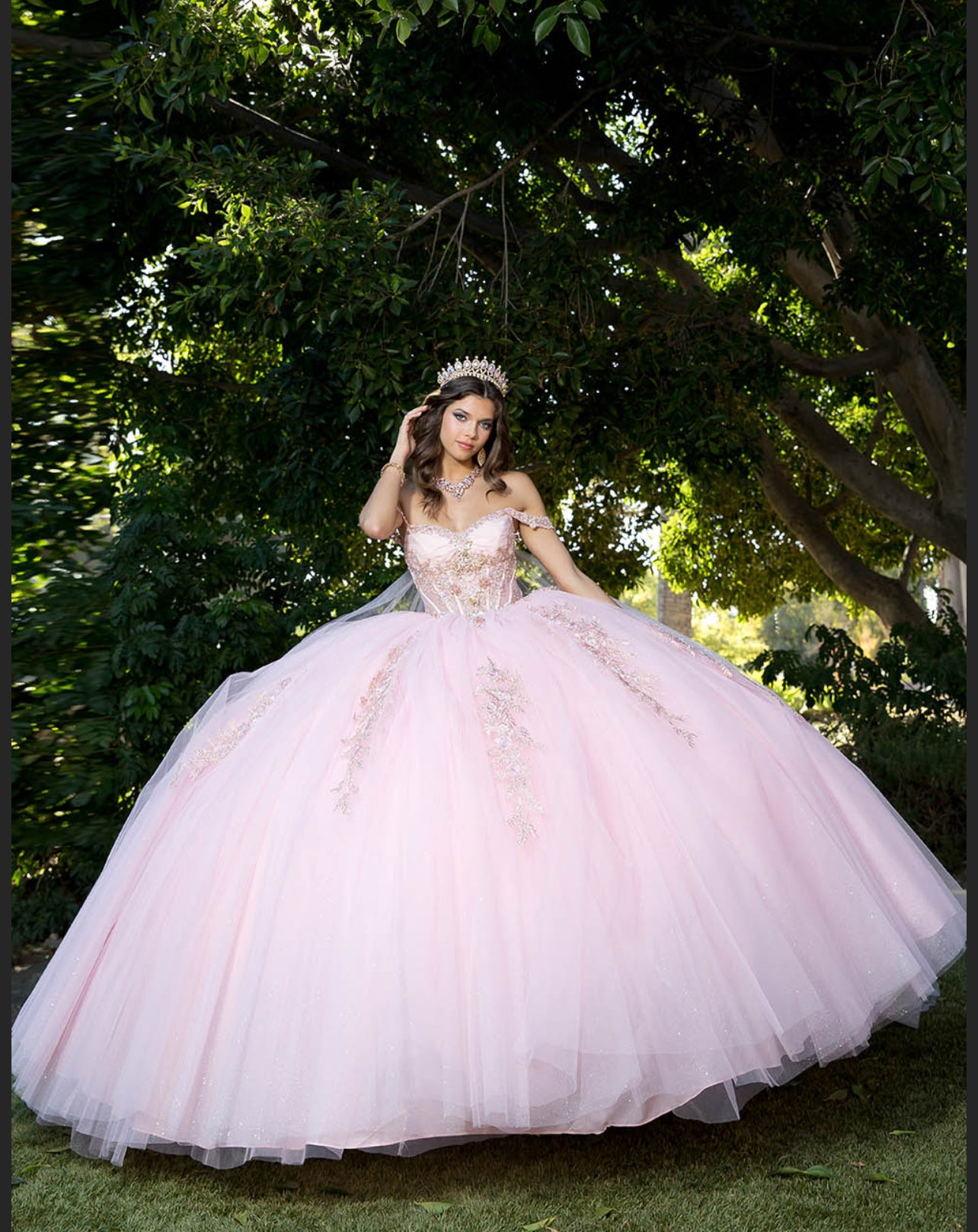 Acrylic 3D Flowers with Wing Cape. PQ1061 by Bella Couture