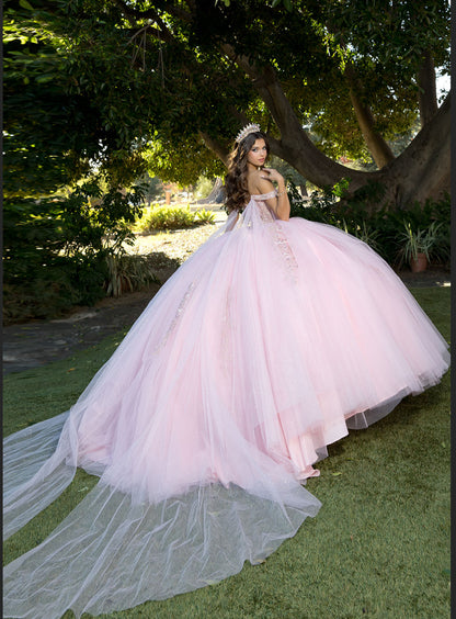 Acrylic 3D Flowers with Wing Cape. PQ1061 by Bella Couture