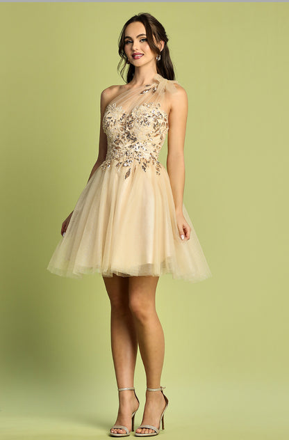 See-through corset, one strap dress.  1054 BY ADORA DESIGN