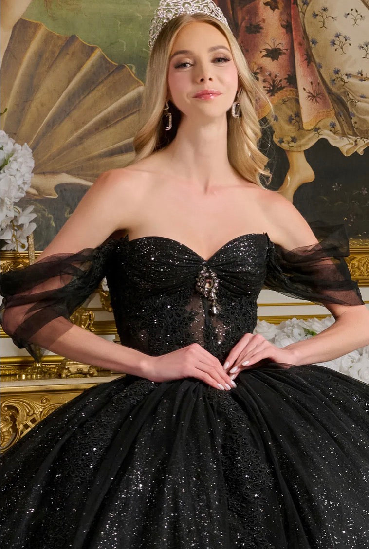 Sheer Bodice Lace Embellished Glitter Mesh Sweetheart Quinceanera Dres by GL3502 GLS by Gloria
