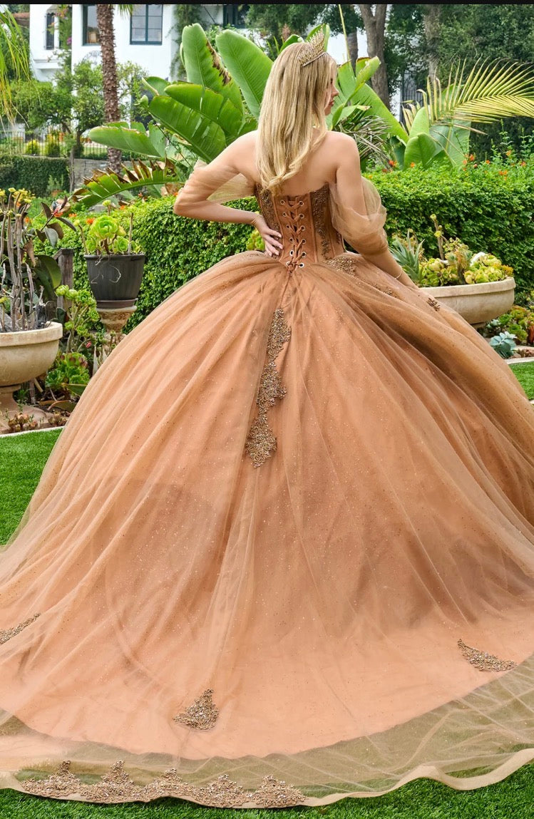Sheer Bodice Lace Embellished Glitter Mesh Sweetheart Quinceanera Dres by GL3502 GLS by Gloria