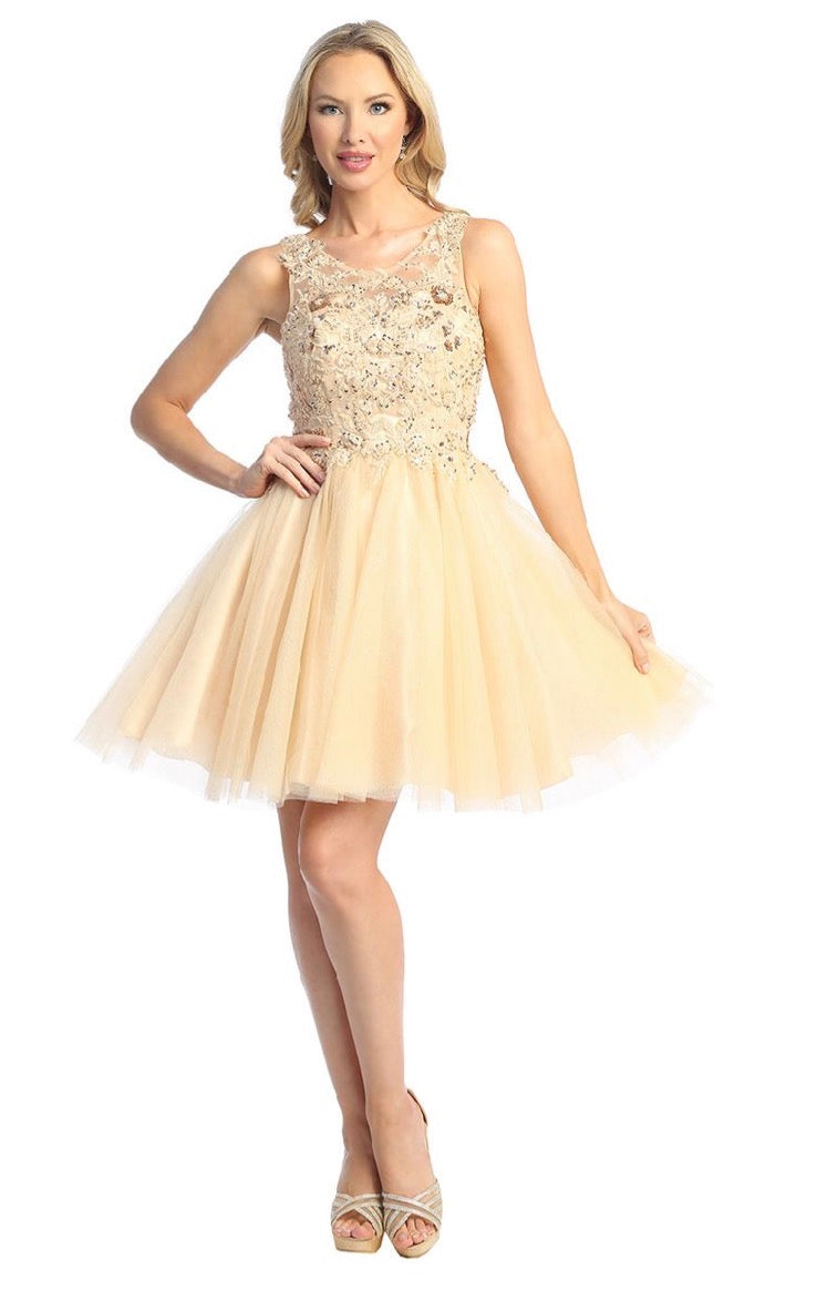 Lace Illusion Top A-line Short Dress. 6277L  BY LET´S CORP