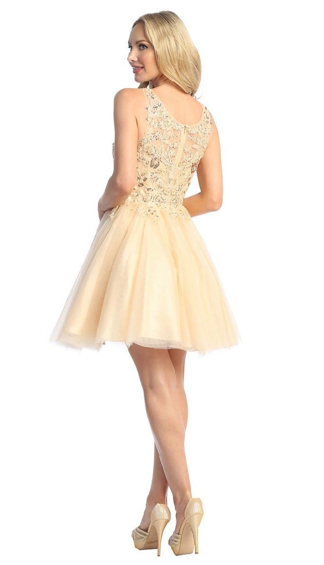 Lace Illusion Top A-line Short Dress. 6277L  BY LET´S CORP