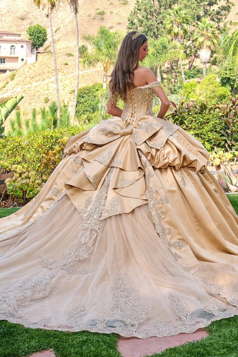 Make a regal statement in this exquisite quinceañera ball gown. GL3810 BY ELIZABETH K