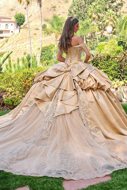 Make a regal statement in this exquisite quinceañera ball gown. GL3810 BY ELIZABETH K