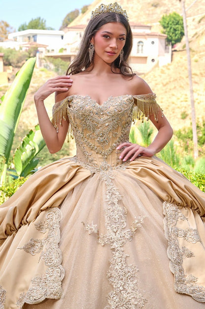 Make a regal statement in this exquisite quinceañera ball gown. GL3810 BY ELIZABETH K