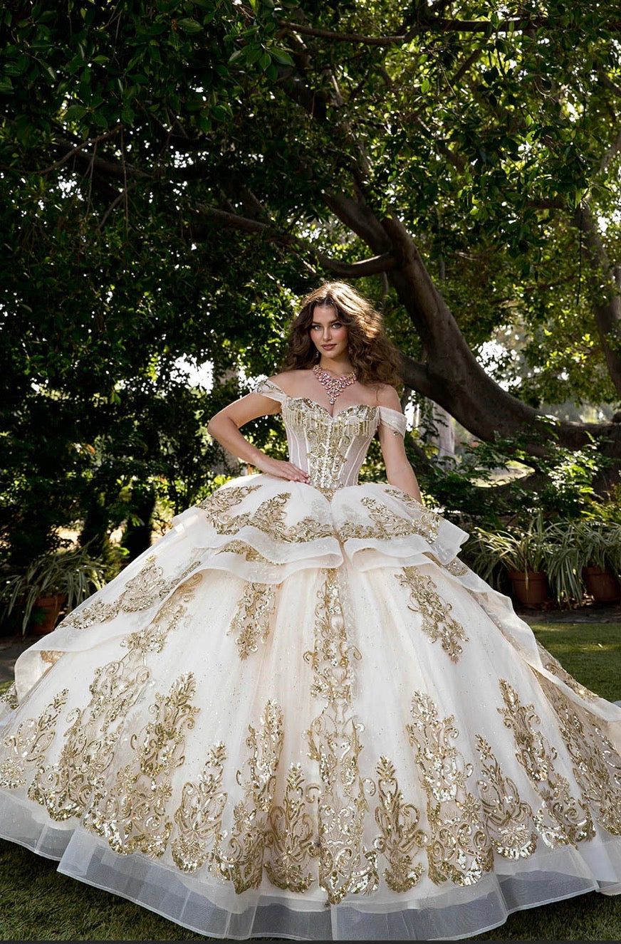 Long Train Embroidered Quince Dress. PQ1074 BY Bella couture. – Zandy's Boutique