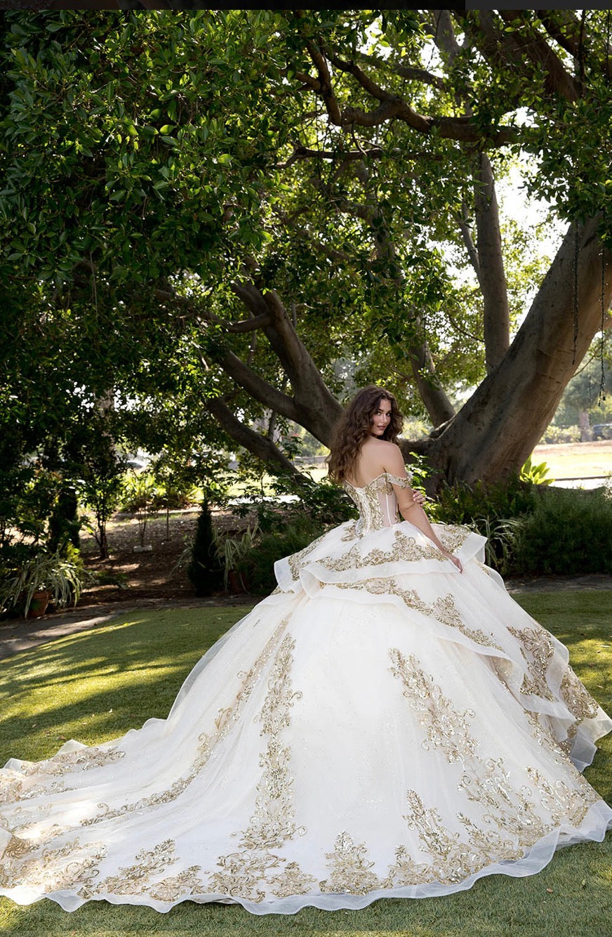 Long Train Embroidered Quince Dress. PQ1074 BY Bella couture.