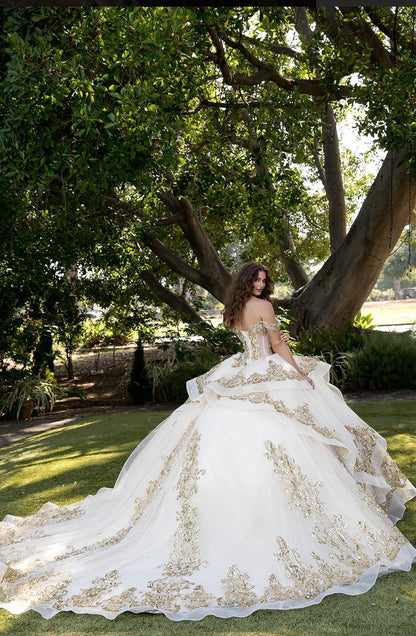 Long Train Embroidered Quince Dress. PQ1074 BY Bella couture.