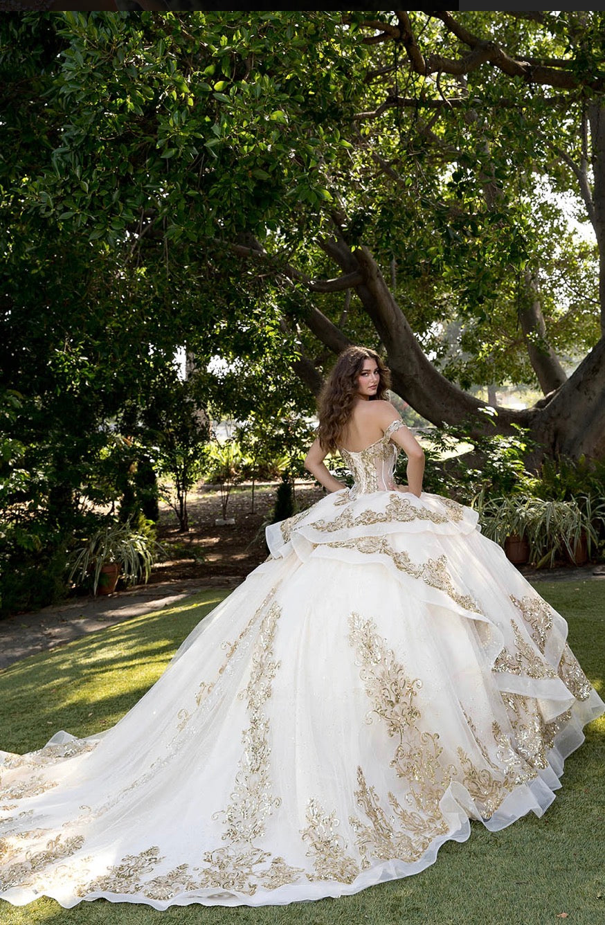 Long Train Embroidered Quince Dress. PQ1074 BY Bella couture.