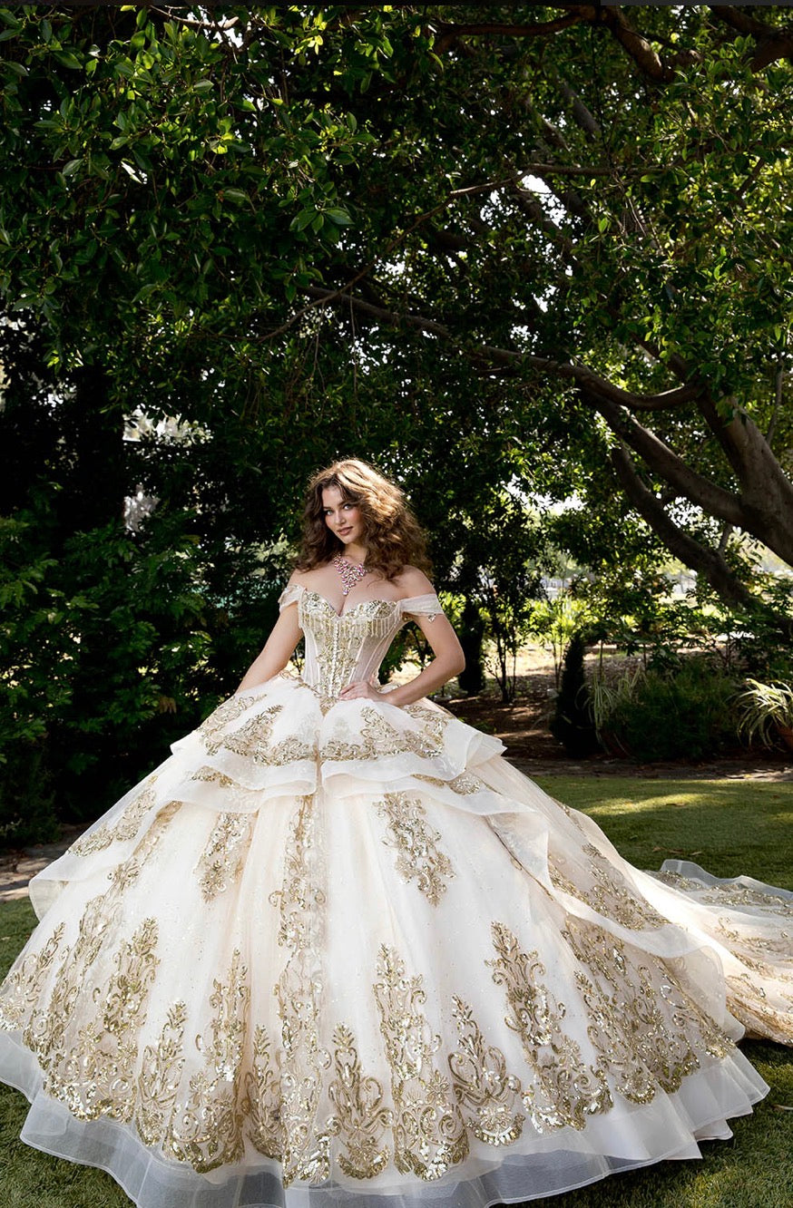 Long Train Embroidered Quince Dress. PQ1074 BY Bella couture.