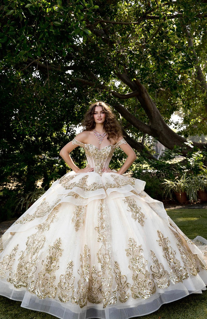 Long Train Embroidered Quince Dress. PQ1074 BY Bella couture.