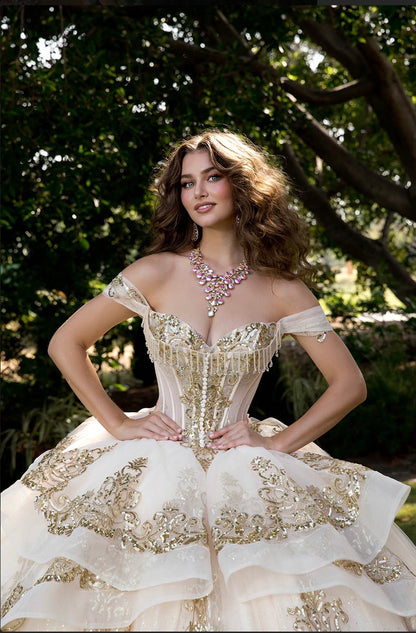 Long Train Embroidered Quince Dress. PQ1074 BY Bella couture.