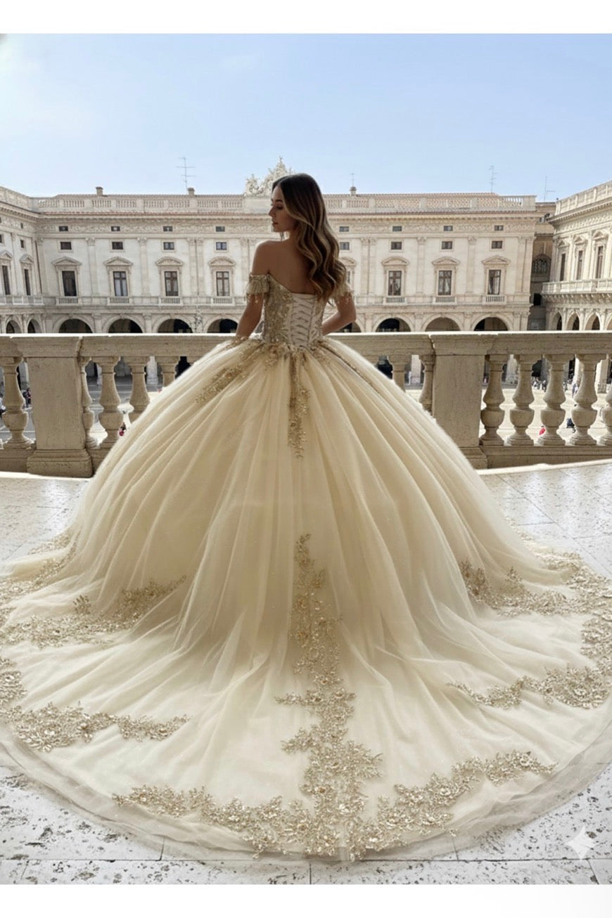 off-the-shoulder neckline adorned with delicate beaded appliqués.  PQ1108 by Bella couture