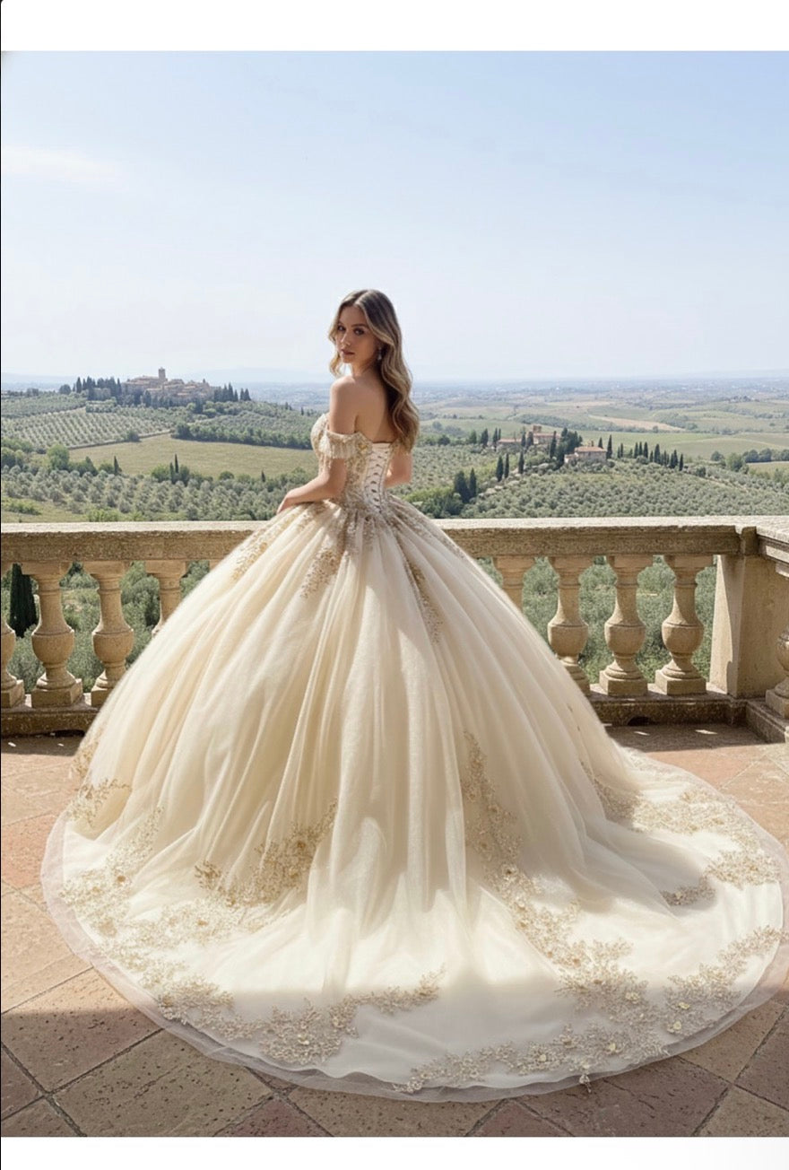 off-the-shoulder neckline adorned with delicate beaded appliqués.  PQ1108 by Bella couture