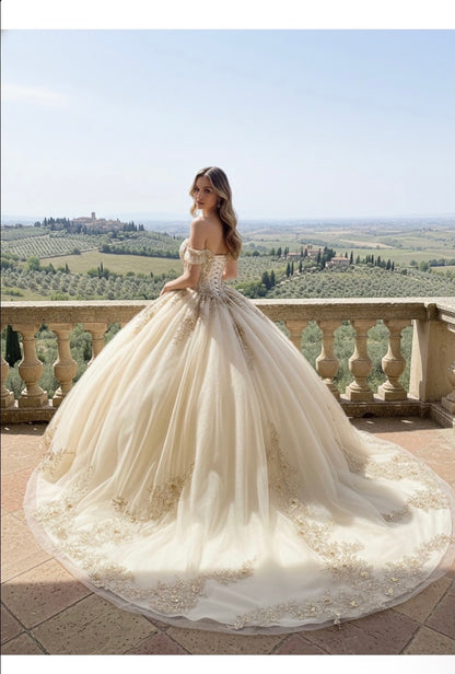 off-the-shoulder neckline adorned with delicate beaded appliqués.  PQ1108 by Bella couture