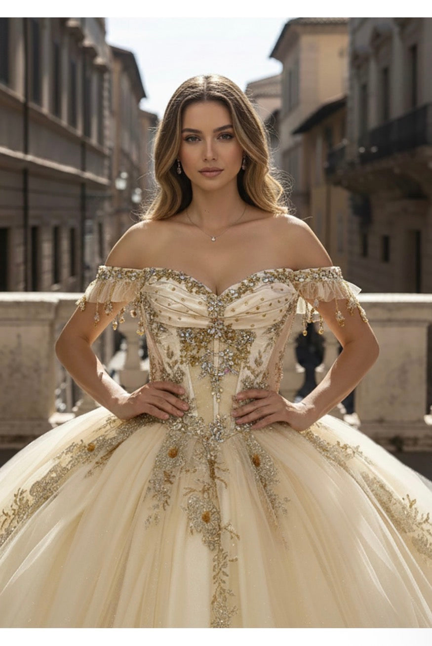 off-the-shoulder neckline adorned with delicate beaded appliqués.  PQ1108 by Bella couture