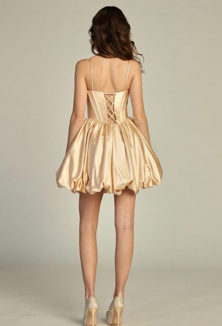 Satin Skirt Sheer Bodice corset Embellishment. 6295L by LET’S CORP