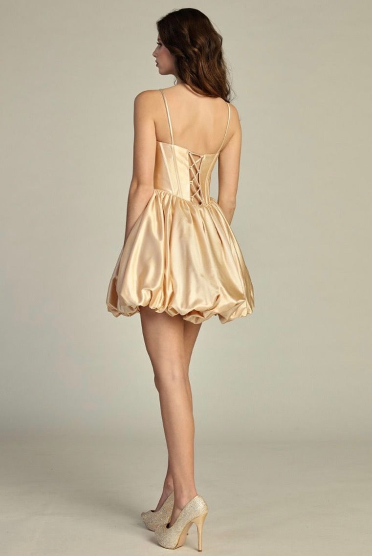 Satin Skirt Sheer Bodice corset Embellishment. 6295L by LET’S CORP