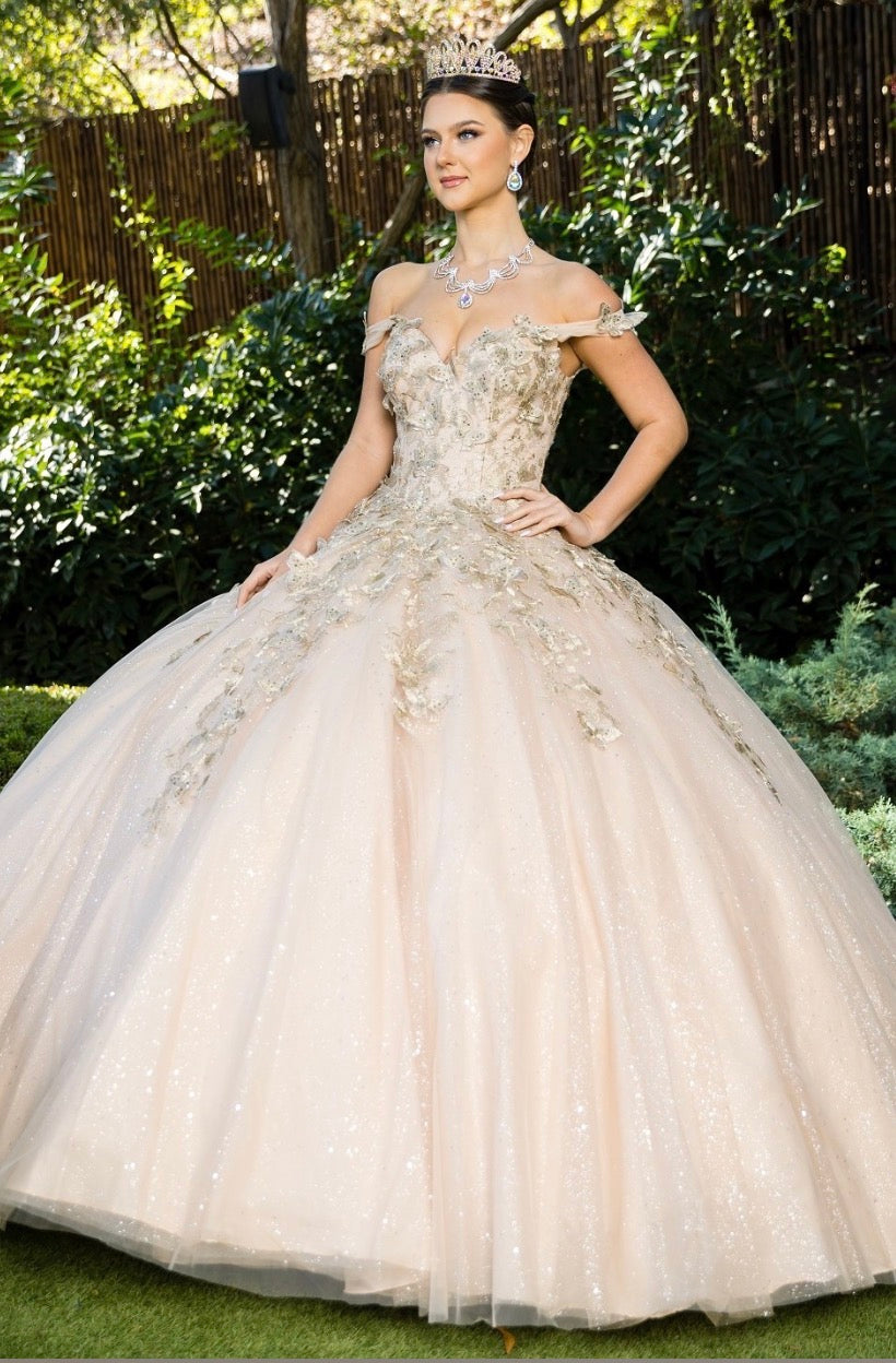 Metallic embroidered 3D butterflies on glitter tulle gown. 8046J BY Cinderella Couture