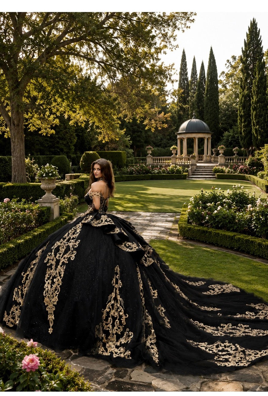 Sparkle Enchantment Quince Dress. PQ1086 BY BELLA COUTURE