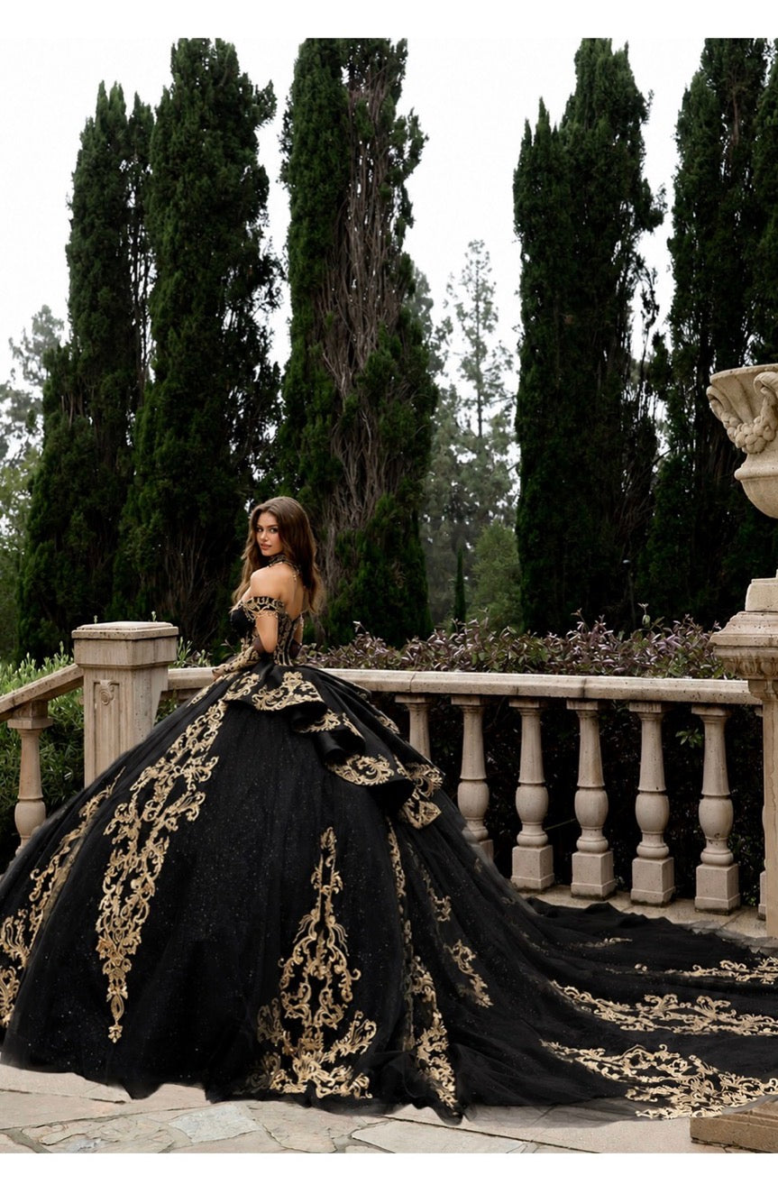 Sparkle Enchantment Quince Dress. PQ1086 BY BELLA COUTURE