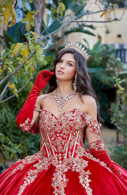 Velvet Dress. PQ1038 by Bella Couture