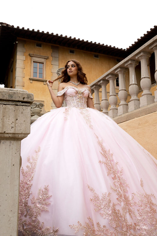 Elegant Applique, Train, Quince Dress. PQ1082 BY BELLA COUTURE