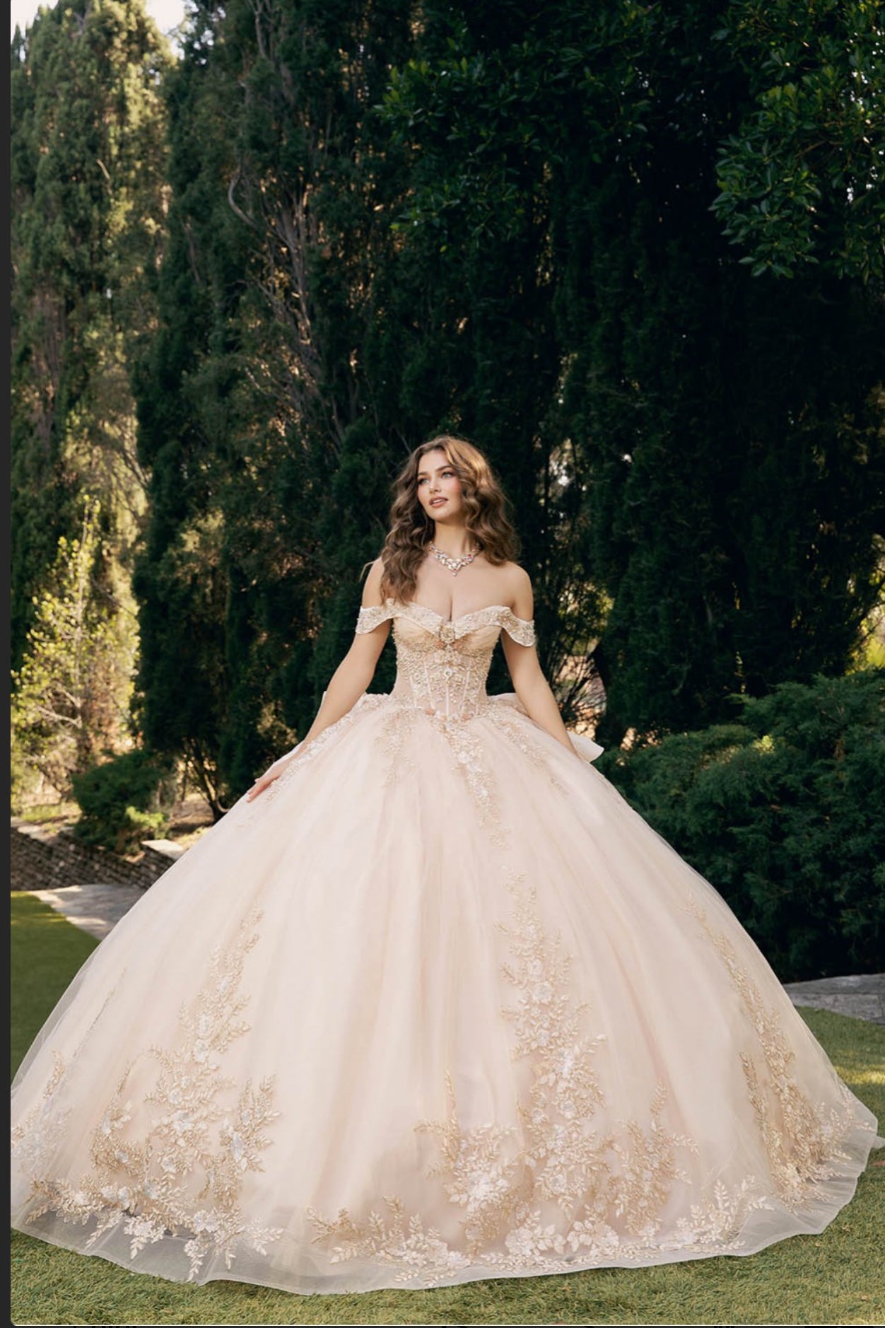 Elegant Applique, Train, Quince Dress. PQ1082 BY BELLA COUTURE