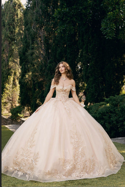 Elegant Applique, Train, Quince Dress. PQ1082 BY BELLA COUTURE