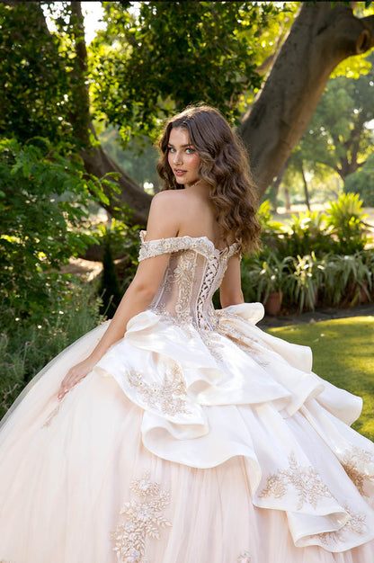 Elegant Applique, Train, Quince Dress. PQ1082 BY BELLA COUTURE