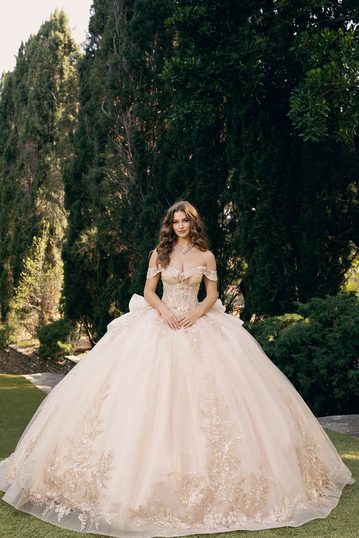 Elegant Applique, Train, Quince Dress. PQ1082 BY BELLA COUTURE